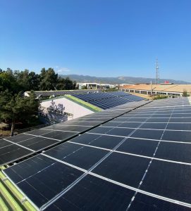 İzmir Kemalpaşa Crea Kozmetik 800 KW -1